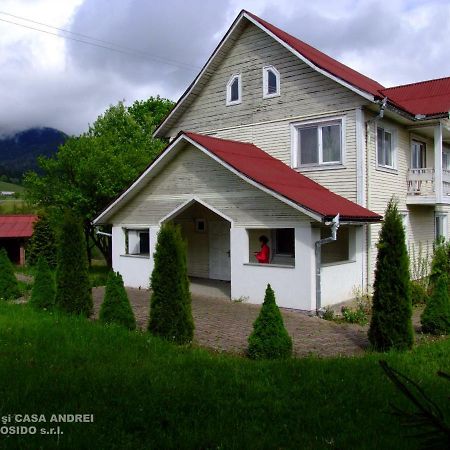 Casa Andrei Vatra Dornei Dealu Floreni Exterior foto